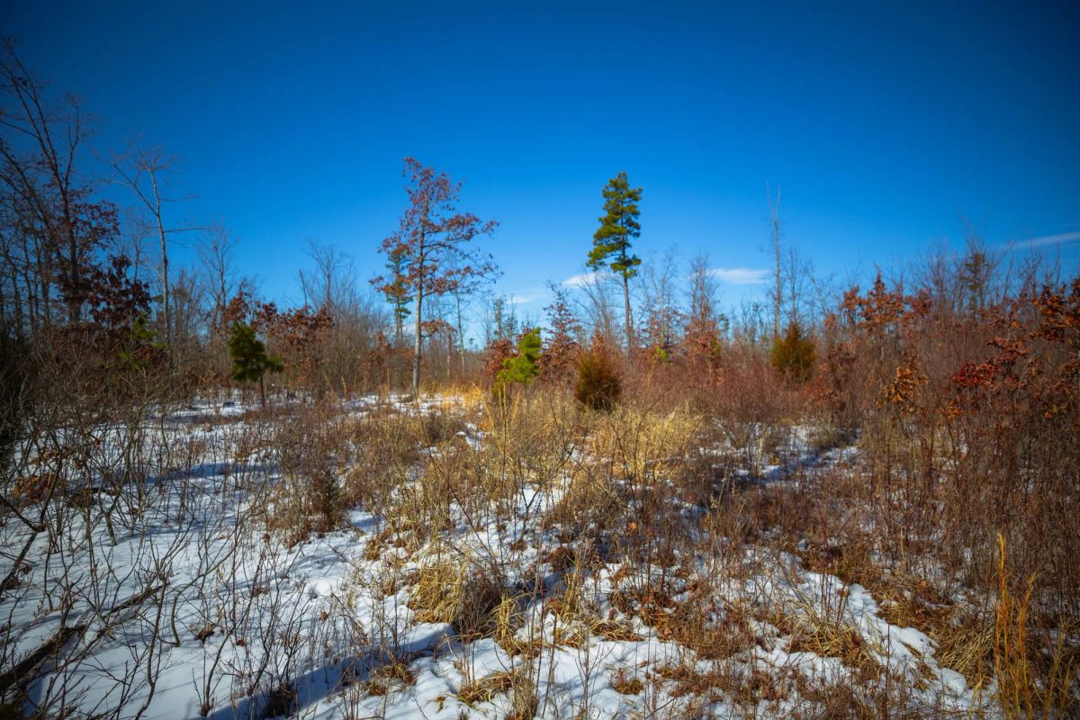 Decorative background for Sleepy Hollow Phase I Tract 27 image 11