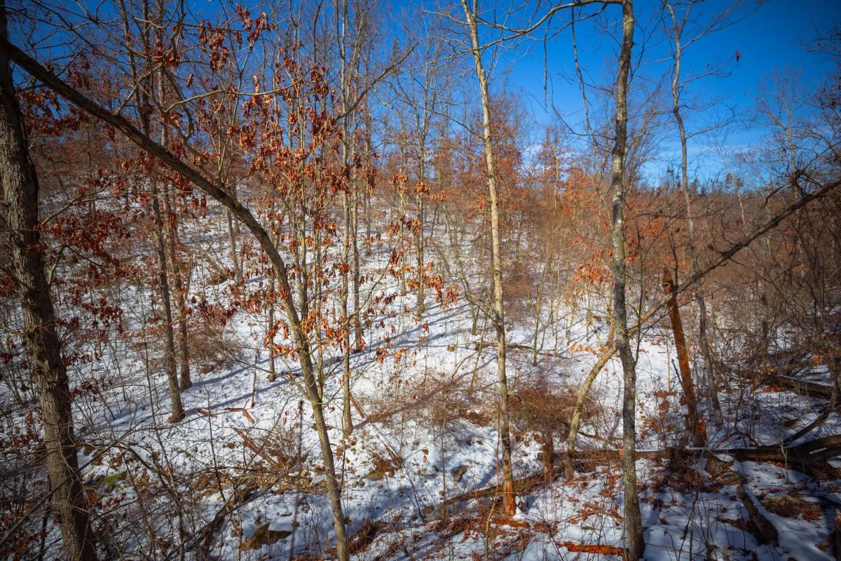 Decorative background for Sleepy Hollow Phase I Tract 27 image 16