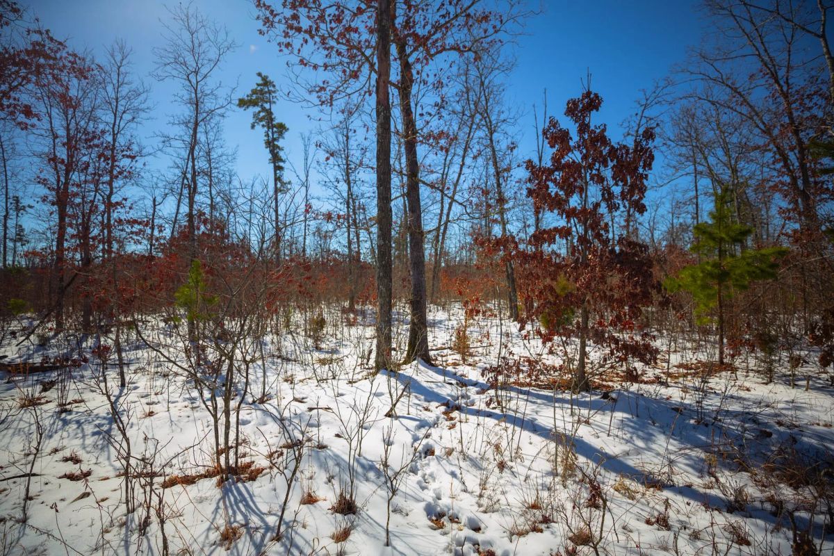 Decorative background for Sleepy Hollow Phase I Tract 27 image 17