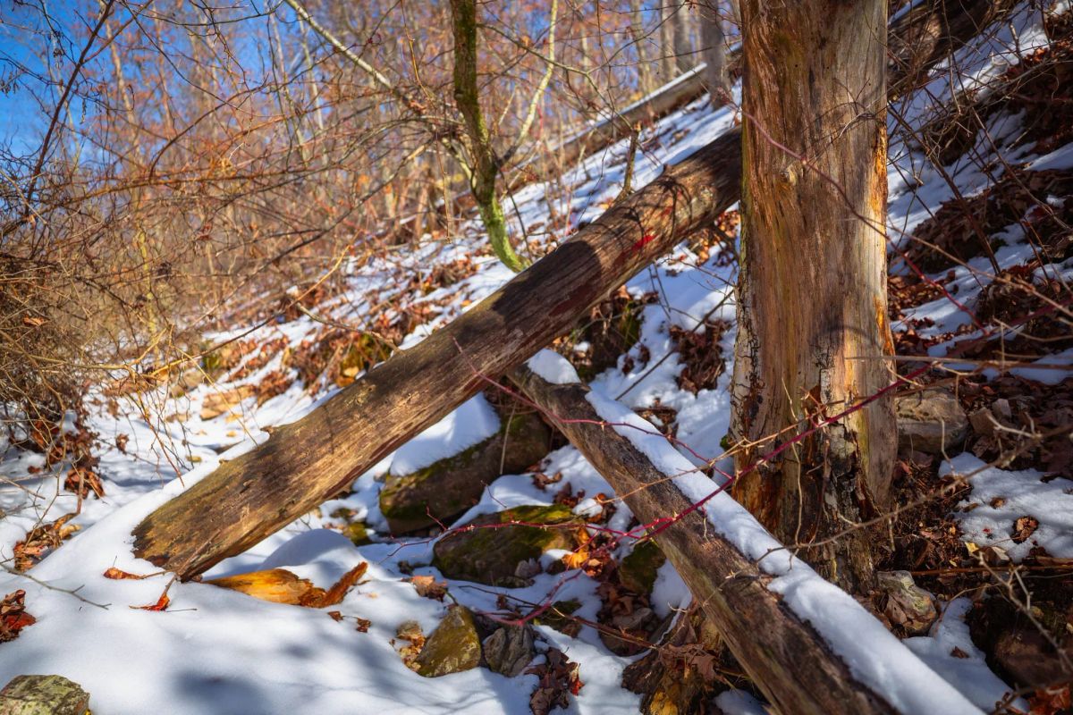 Decorative background for Sleepy Hollow Phase I Tract 27 image 18