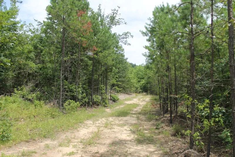 Trophy Ridge Phase III Tract 8 - Main image