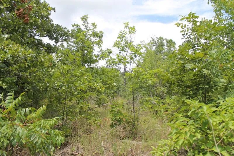 Trophy Ridge Phase III Tract 8 in Pushmataha County, OK