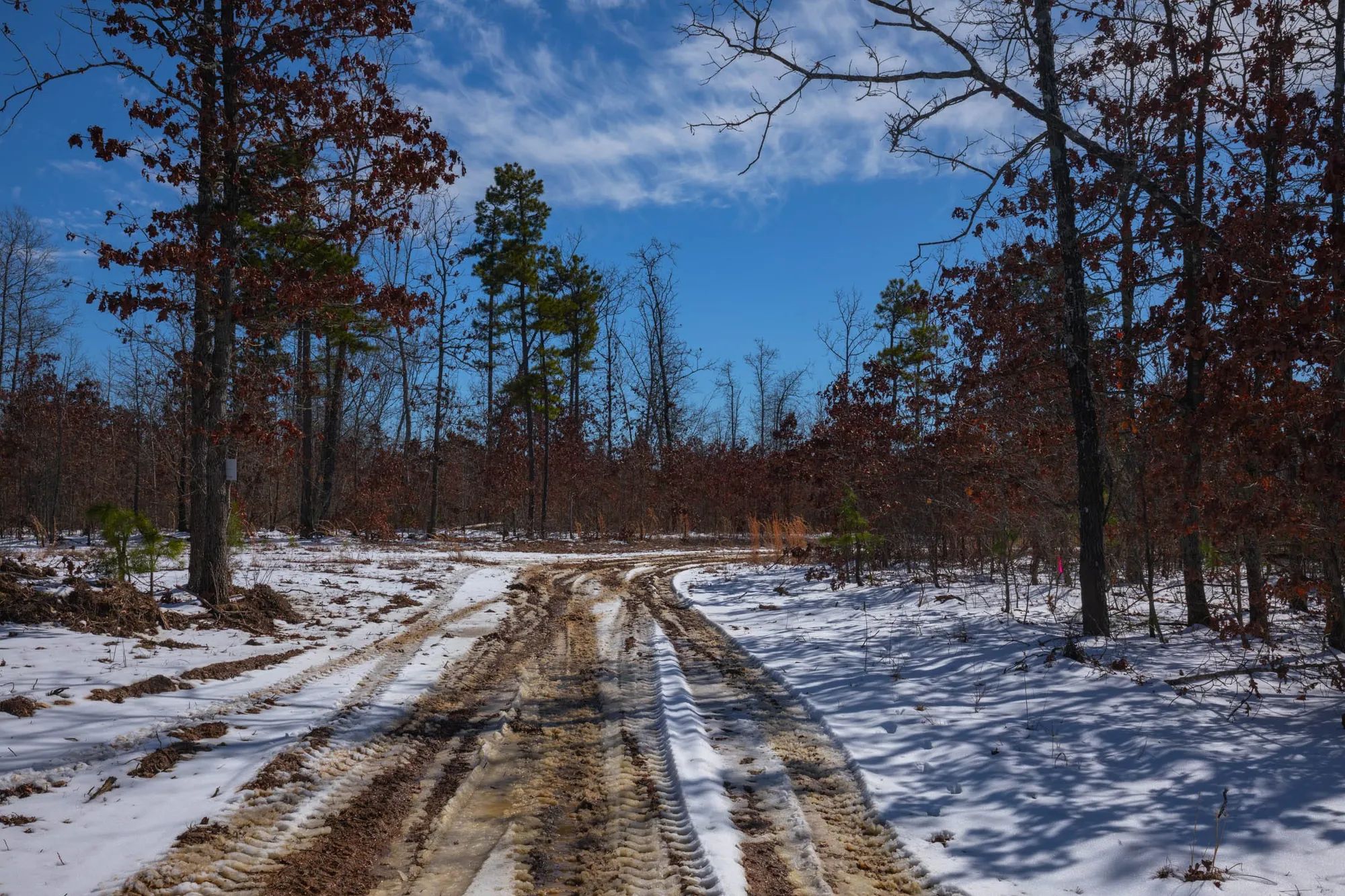 Sleepy Hollow Phase I Tract 57 in Texas County, MO