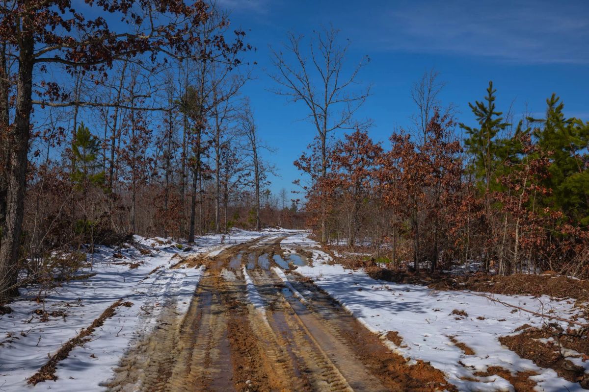 Sleepy Hollow Phase I Tract 57 - Image 2