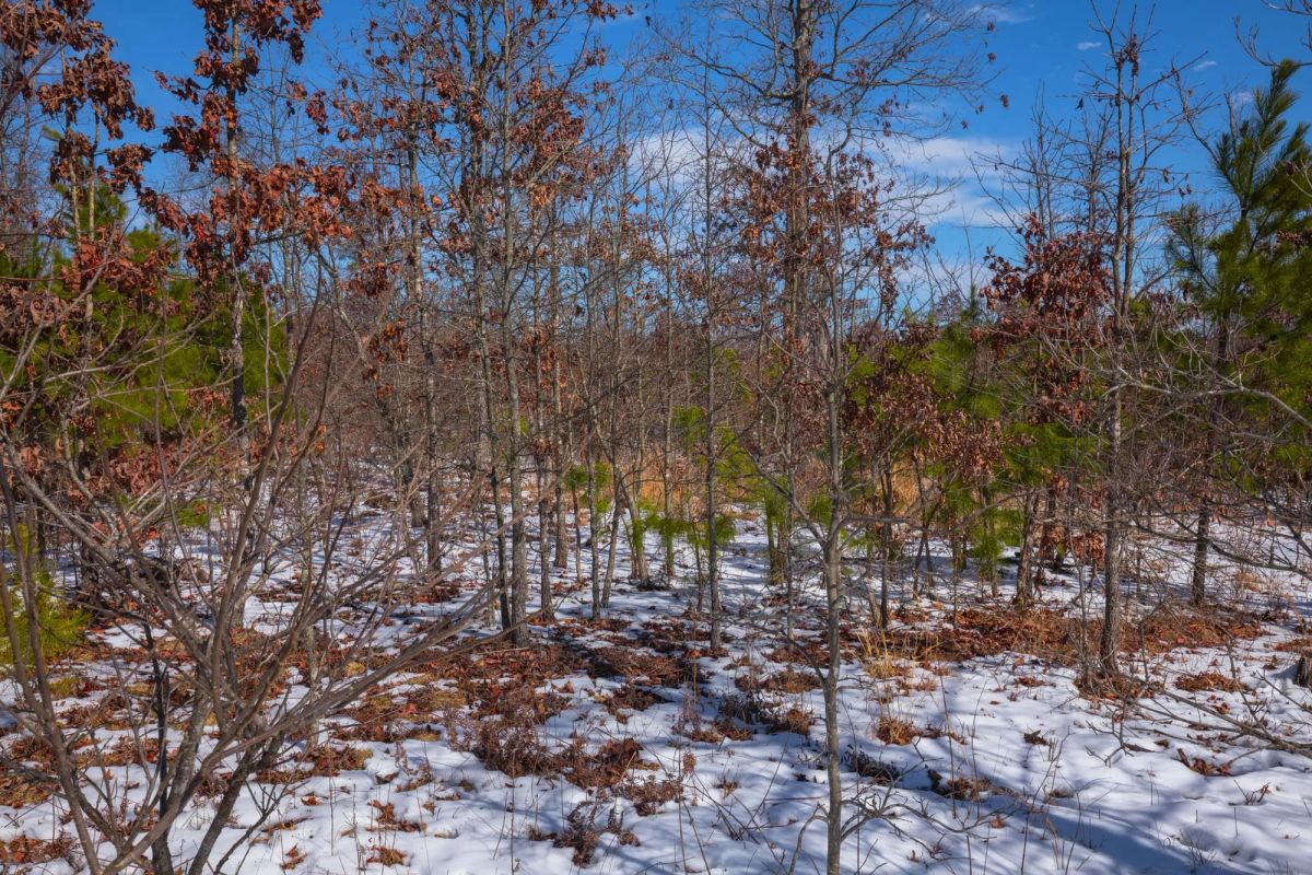 Decorative background for Sleepy Hollow Phase I Tract 57 image 8