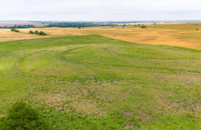 Crandall's Corner Tract 8
