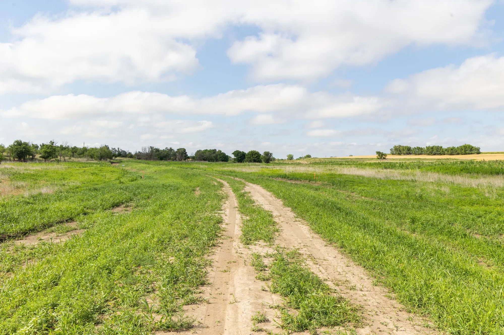 Crandall's Corner Tract 8 in Graham County, KS