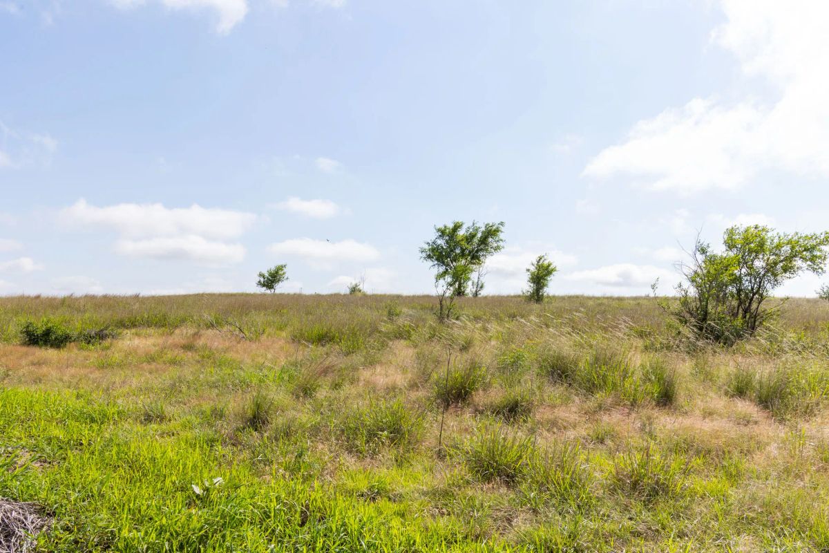 Decorative background for Crandall's Corner Tract 8 image 6