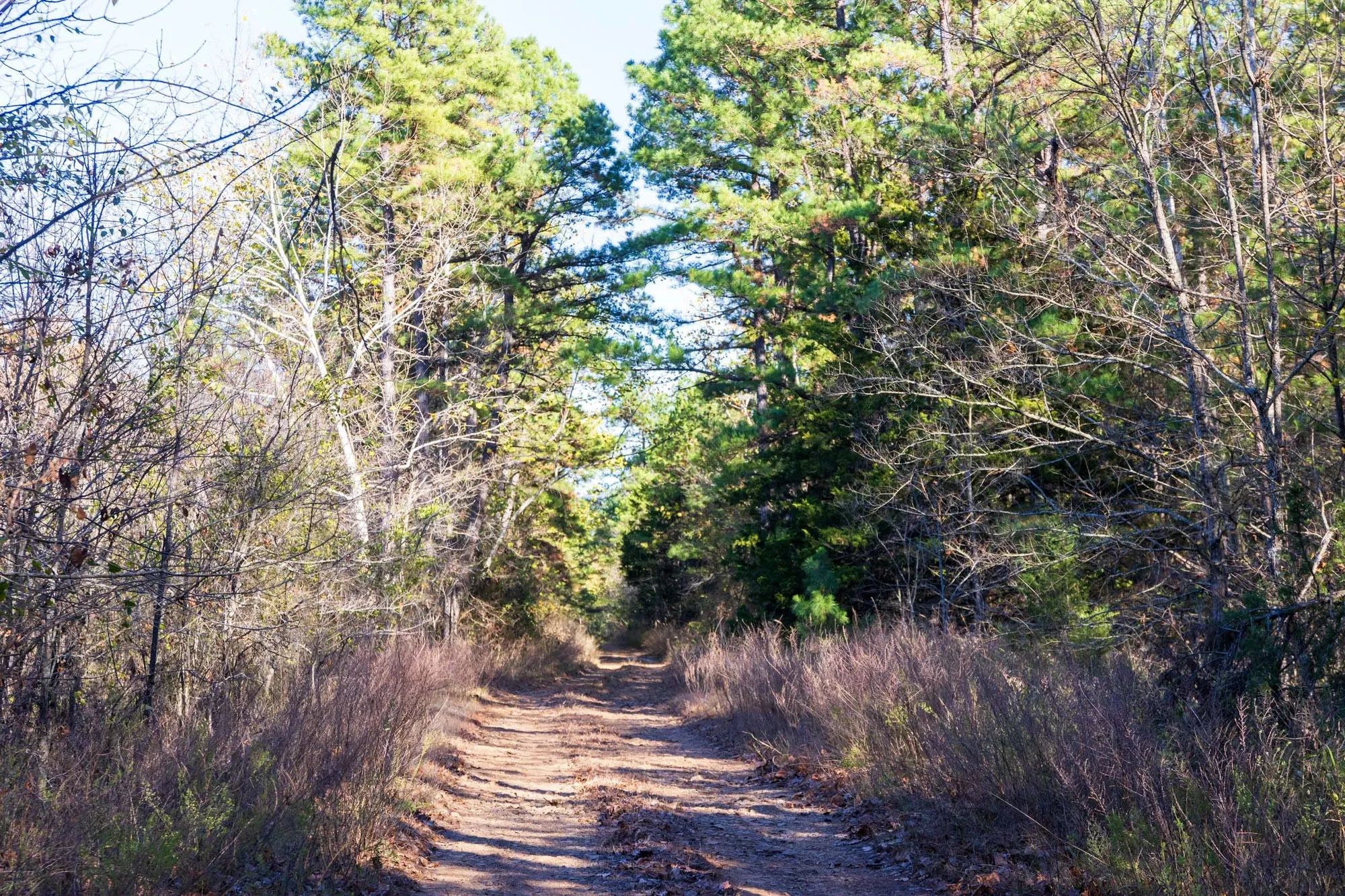 Stone Bridge Reserve Tract 26 in Haskell County, OK