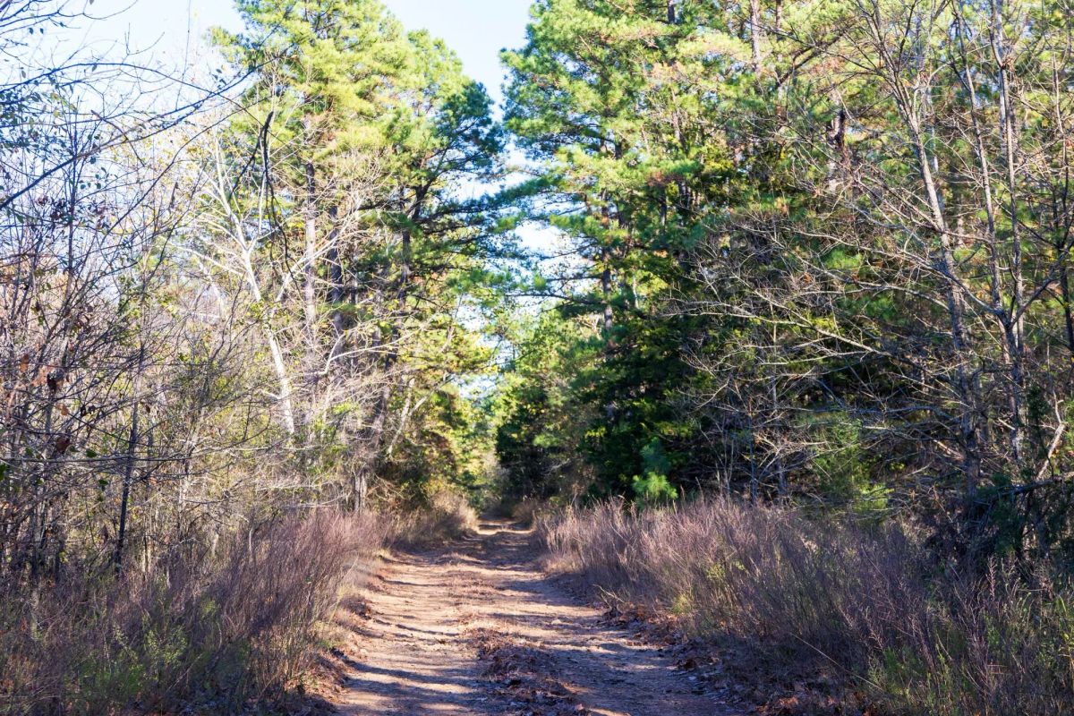 Stone Bridge Reserve Tract 26 - Main image