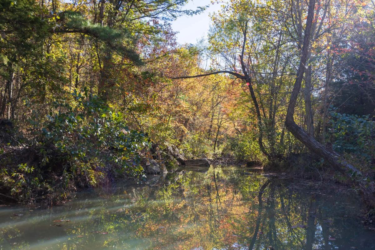 Stone Bridge Reserve Tract 26 - Image 2