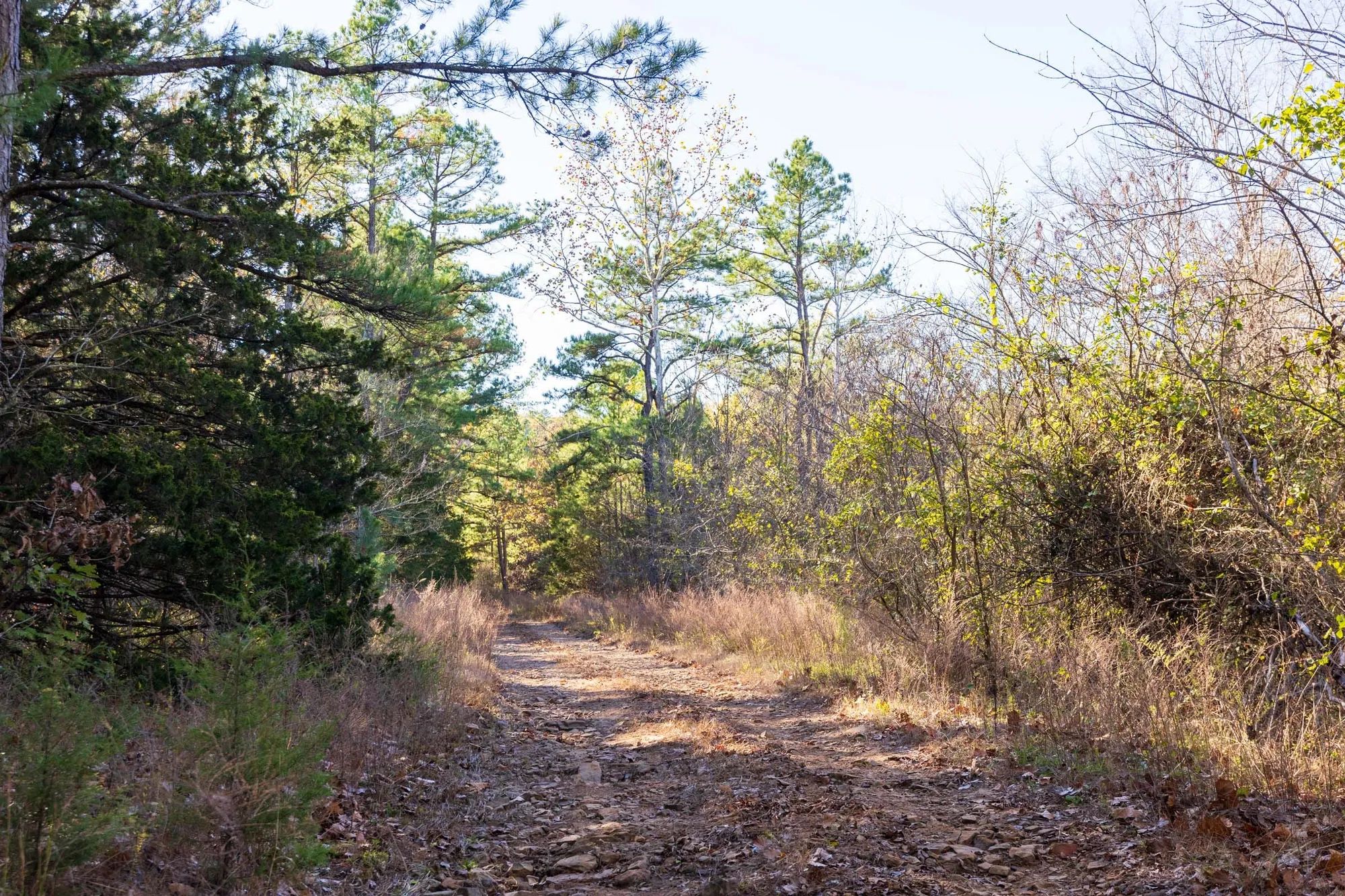 Stone Bridge Reserve Tract 26 in Haskell County, OK