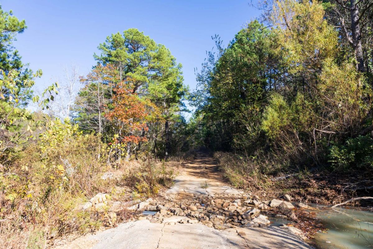 Decorative background for Stone Bridge Reserve Tract 26 image 7