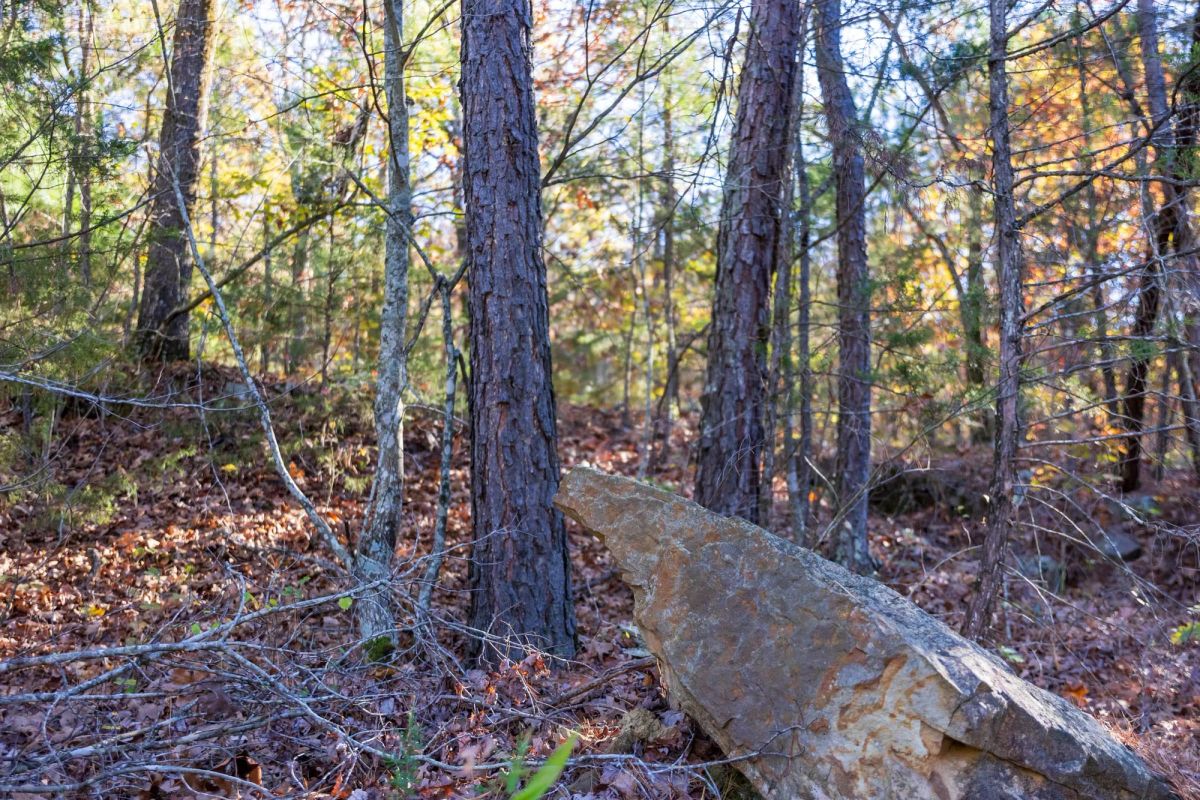 Decorative background for Stone Bridge Reserve Tract 26 image 8