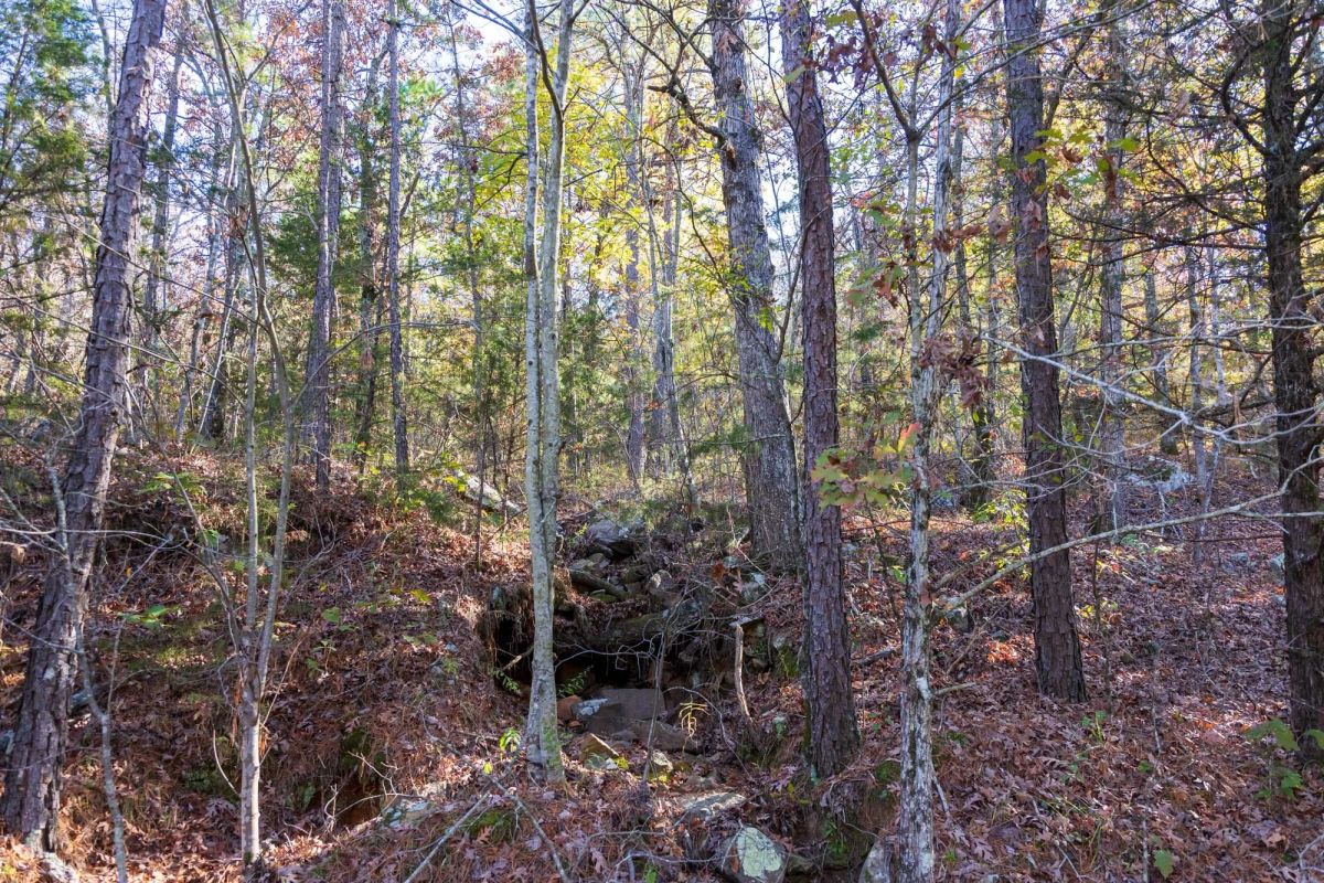 Decorative background for Stone Bridge Reserve Tract 26 image 10