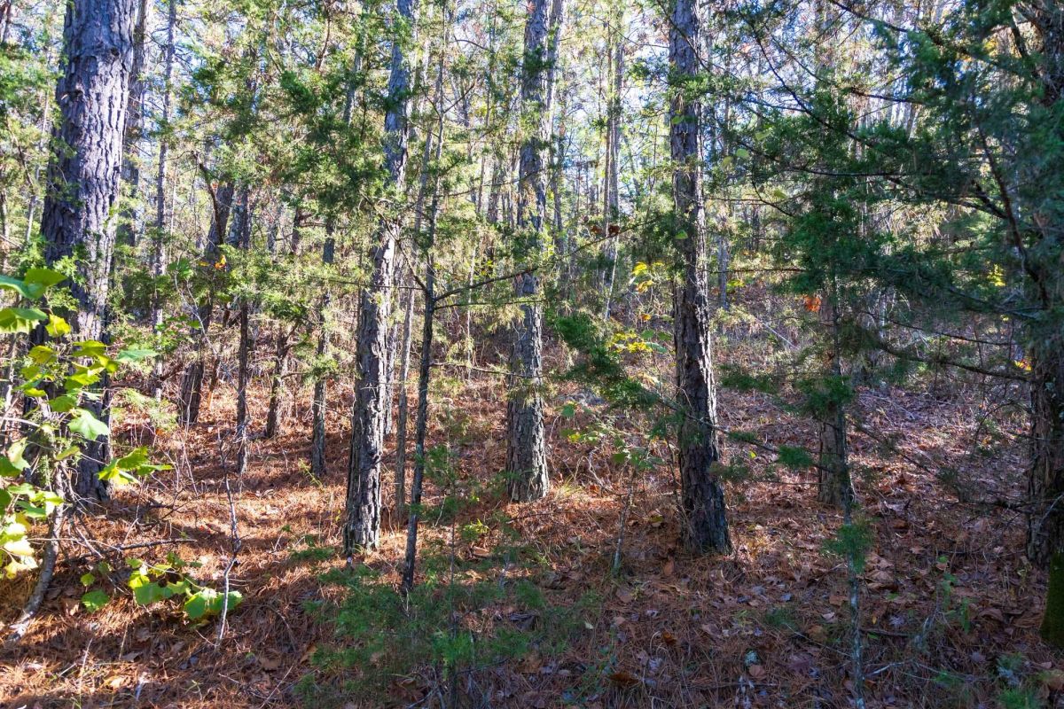 Decorative background for Stone Bridge Reserve Tract 26 image 12