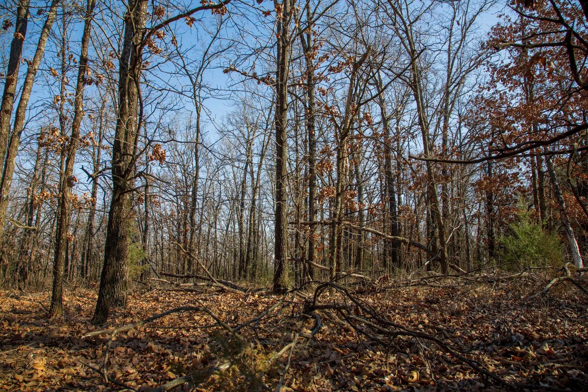 Eufaula Cove Tract 20 in Pittsburg County, OK