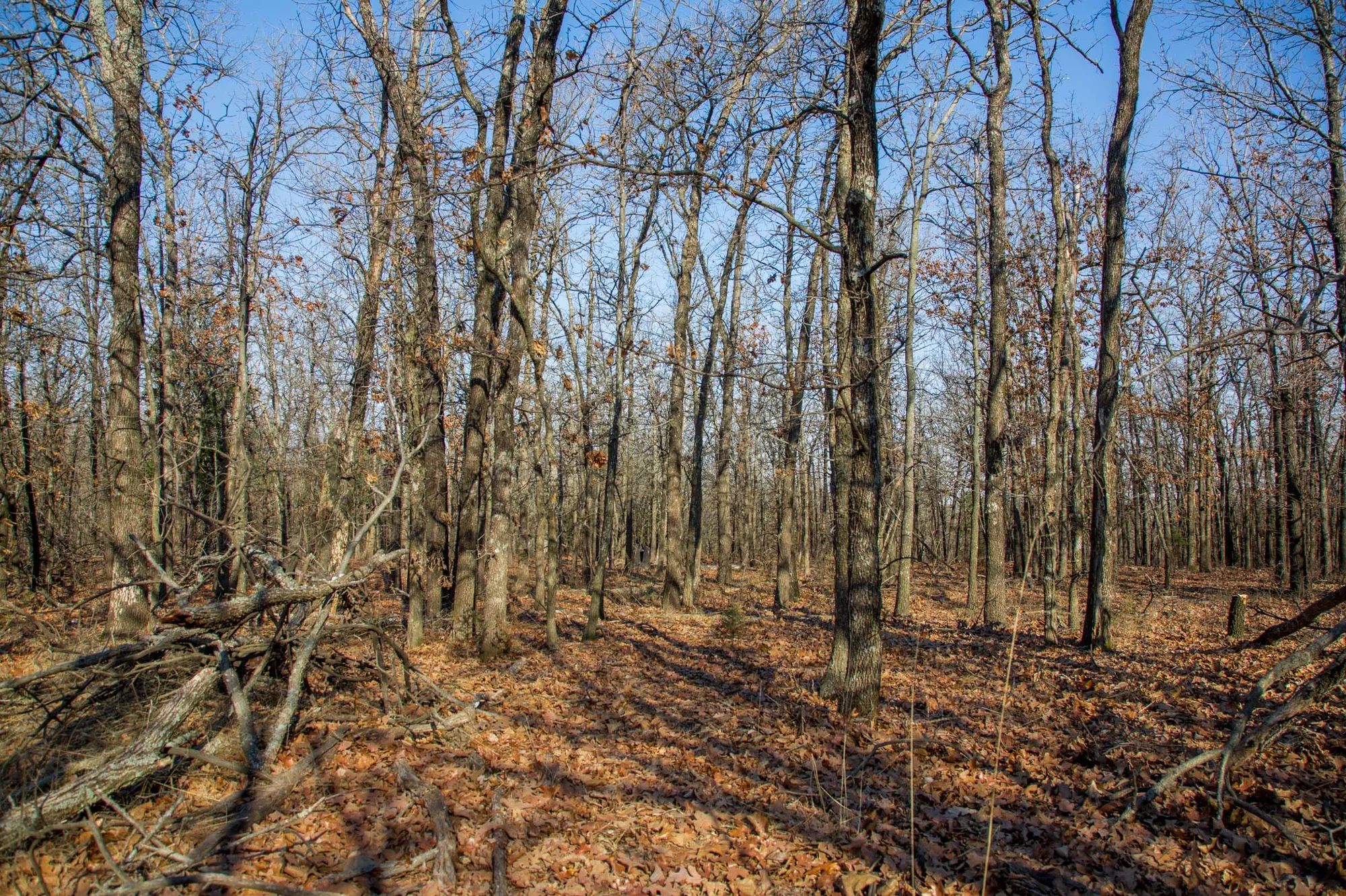 Eufaula Cove Tract 20 in Pittsburg County, OK