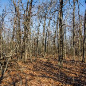 Eufaula Cove Tract 20 in Pittsburg County, OK