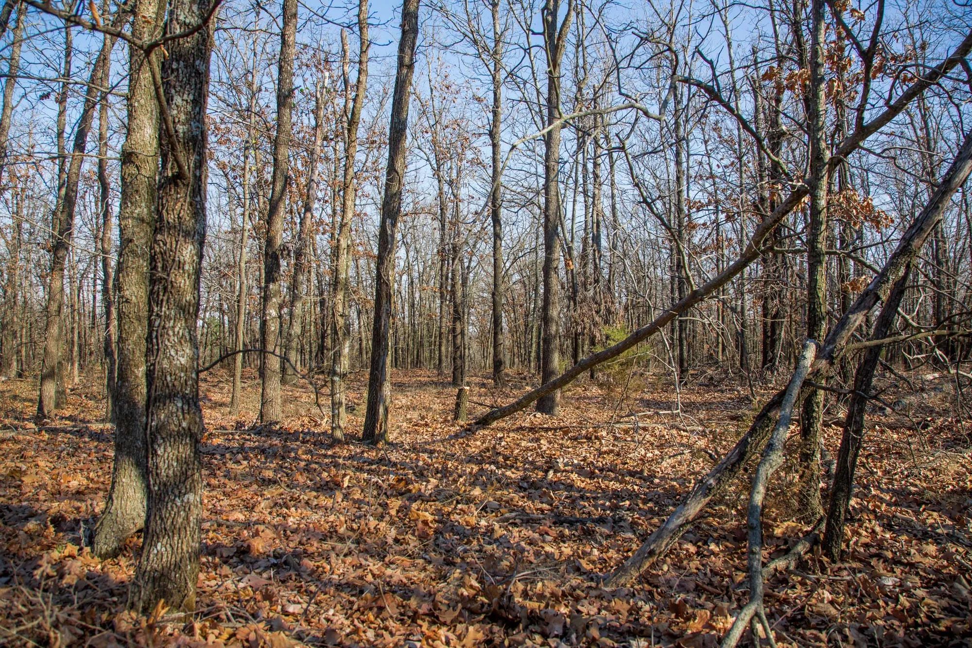 Eufaula Cove Tract 20 in Pittsburg County, OK