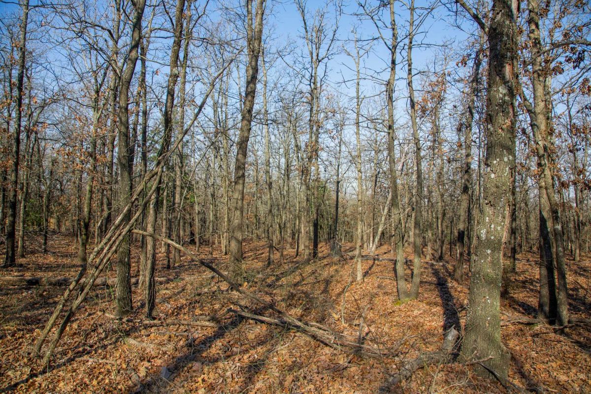 Decorative background for Eufaula Cove Tract 20 image 7