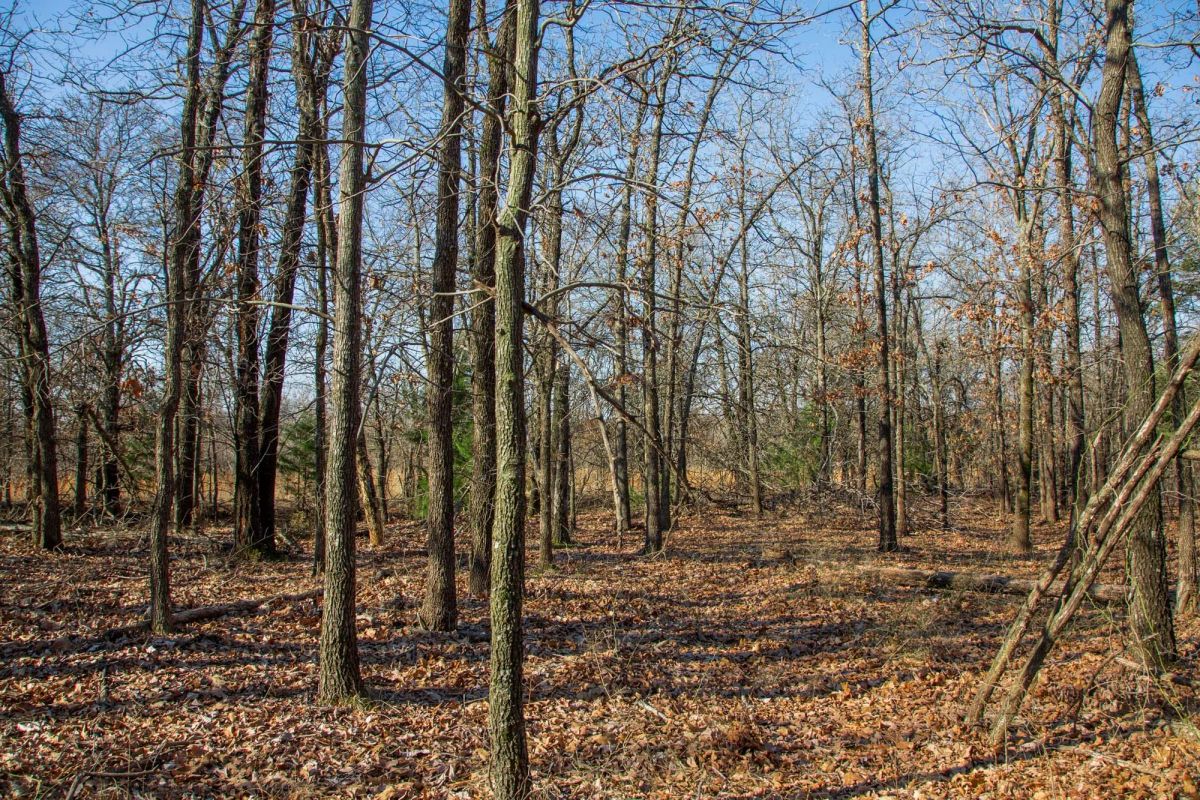 Decorative background for Eufaula Cove Tract 20 image 8