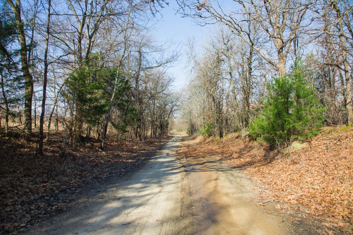 Decorative background for Eufaula Cove Tract 20 image 9