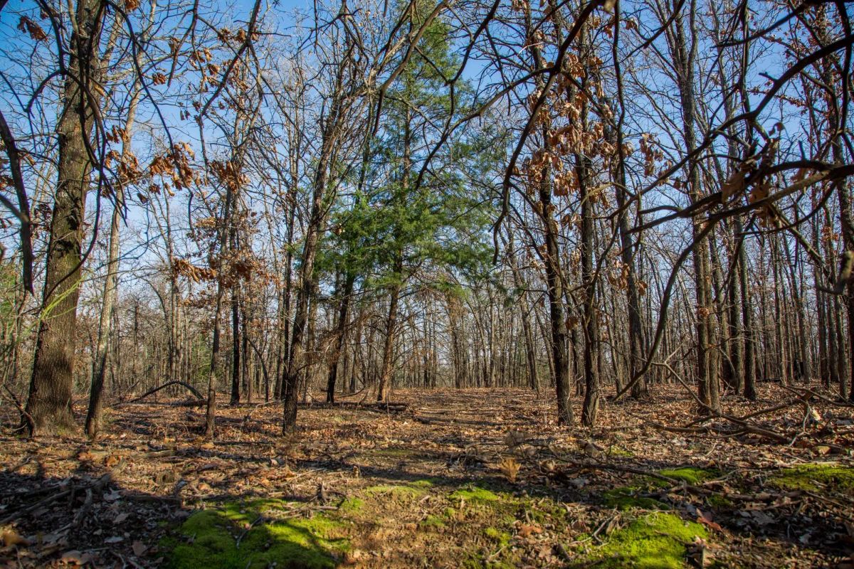 Decorative background for Eufaula Cove Tract 20 image 12