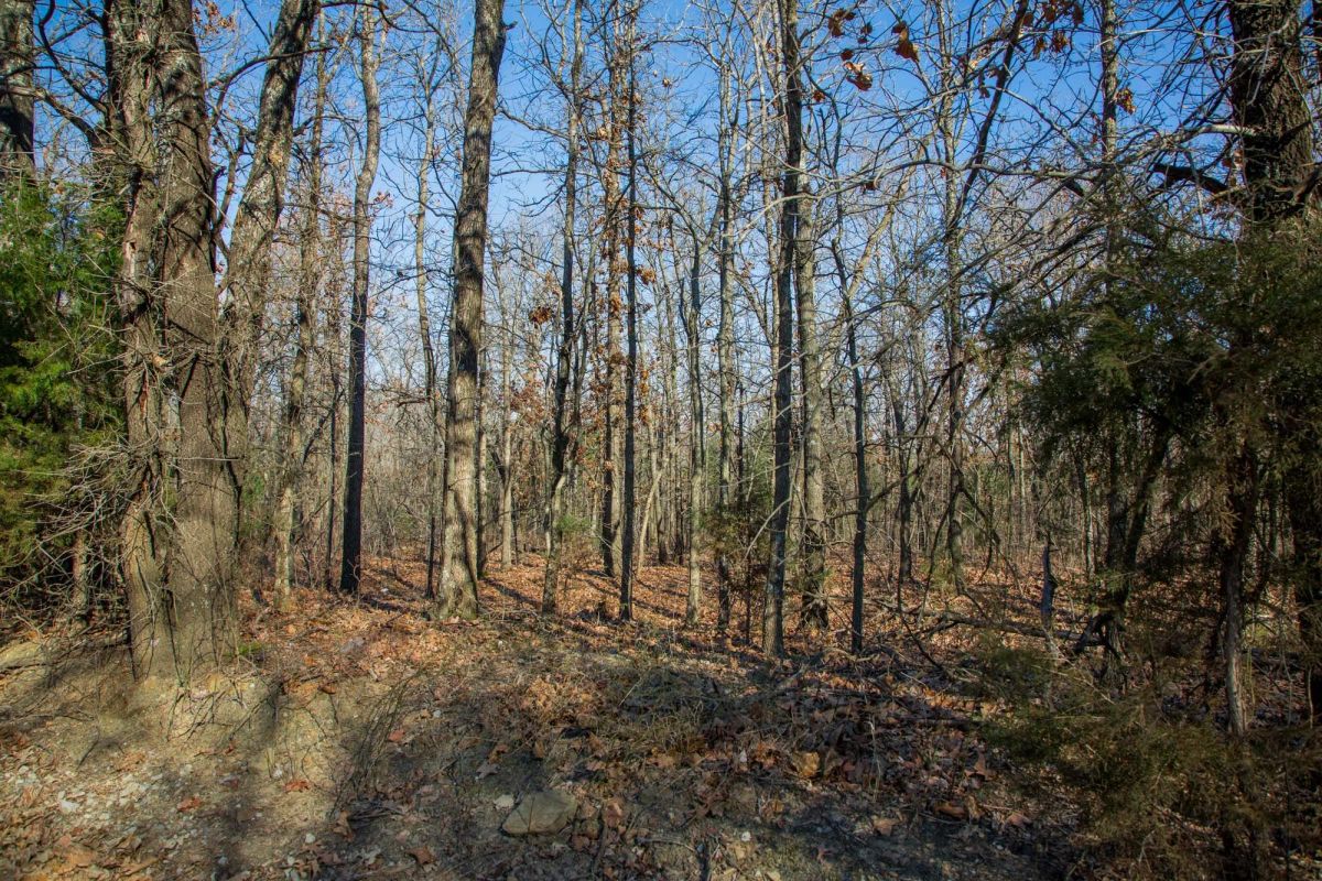 Decorative background for Eufaula Cove Tract 20 image 14
