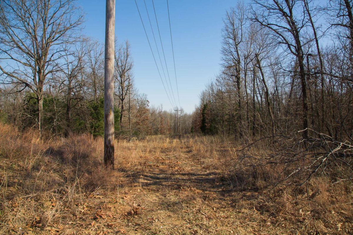 Decorative background for Eufaula Cove Tract 20 image 15