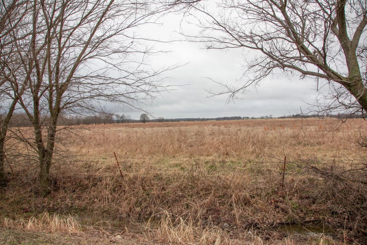 Canadian Plains Tract 10 - Image 2