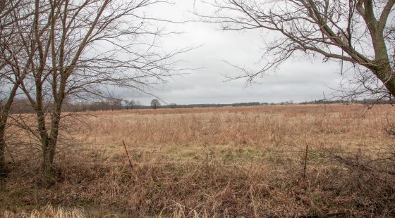 Canadian Plains Tract 10 in Pittsburg County, OK