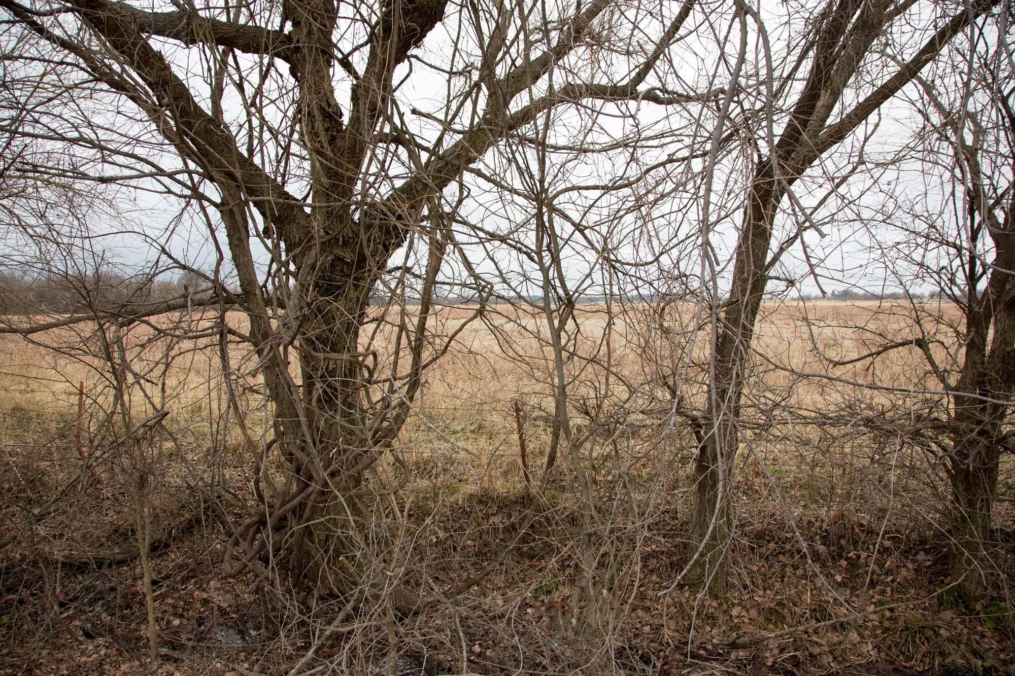 Canadian Plains Tract 10 in Pittsburg County, OK