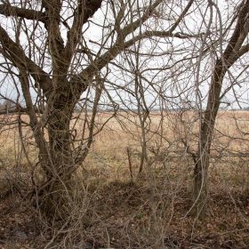 Canadian Plains Tract 10 in Pittsburg County, OK