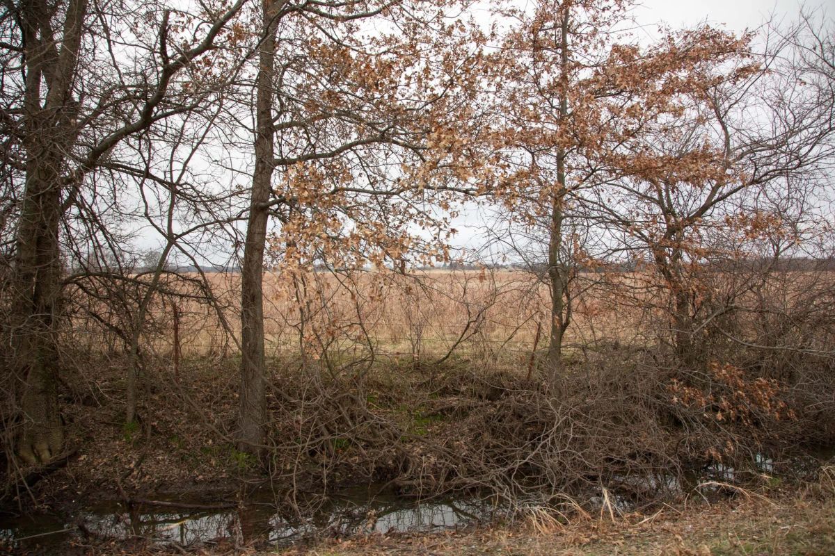 Decorative background for Canadian Plains Tract 10 image 6