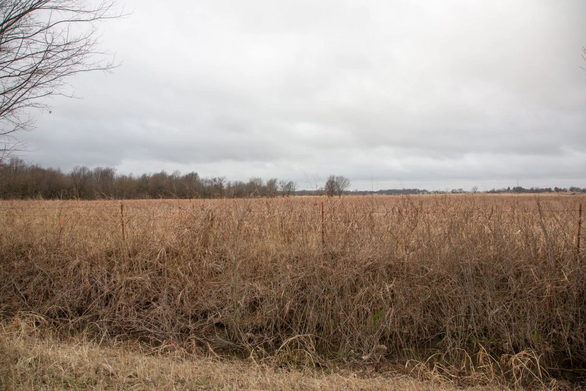 Decorative background for Canadian Plains Tract 10 image 7