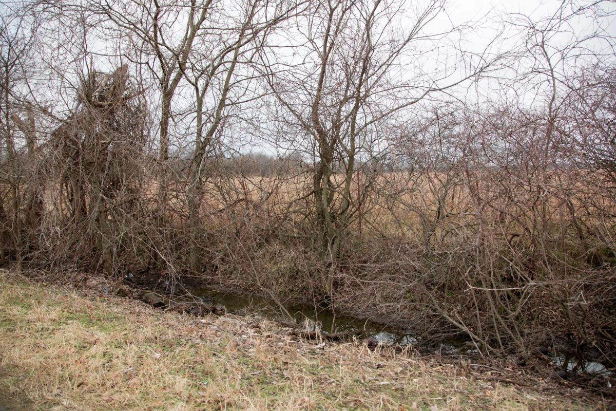 Decorative background for Canadian Plains Tract 10 image 8