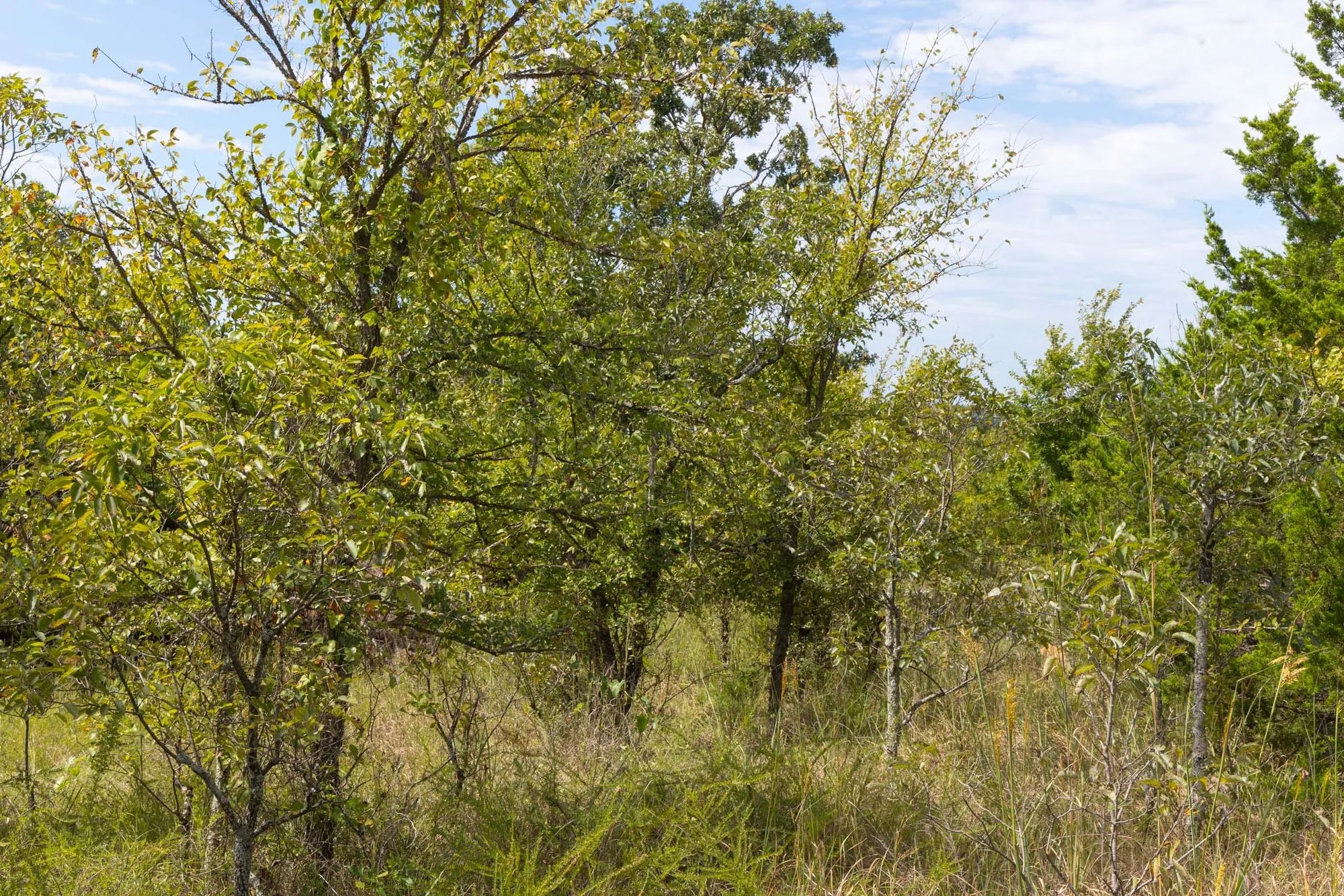 Reserves At Cattail Cove Phase II Tract 57 in Pittsburg County, OK