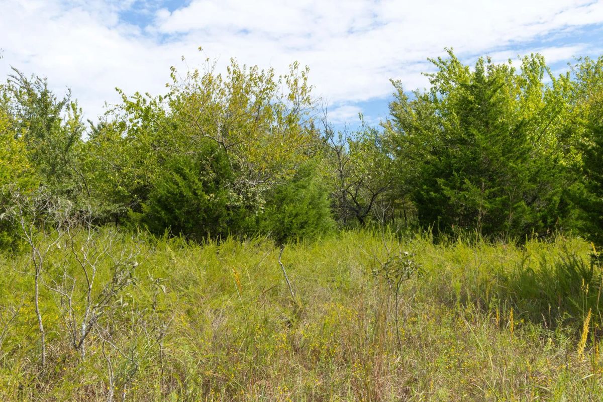 Reserves At Cattail Cove Phase II Tract 57 - Image 4