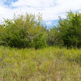 Reserves At Cattail Cove Phase II Tract 57 in Pittsburg County, OK