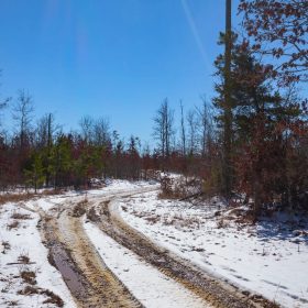 Sleepy Hollow Phase I Tract 38 in Texas County, MO