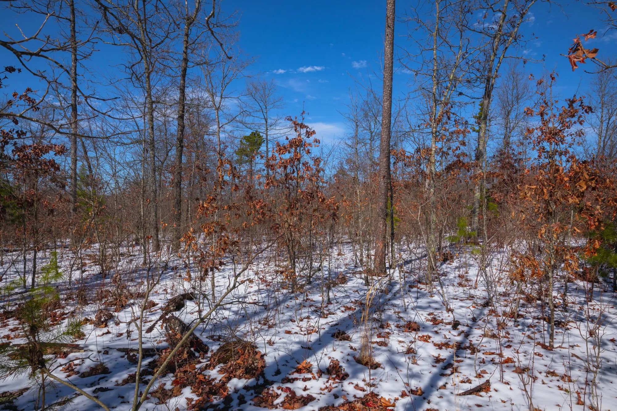 Sleepy Hollow Phase I Tract 38 in Texas County, MO