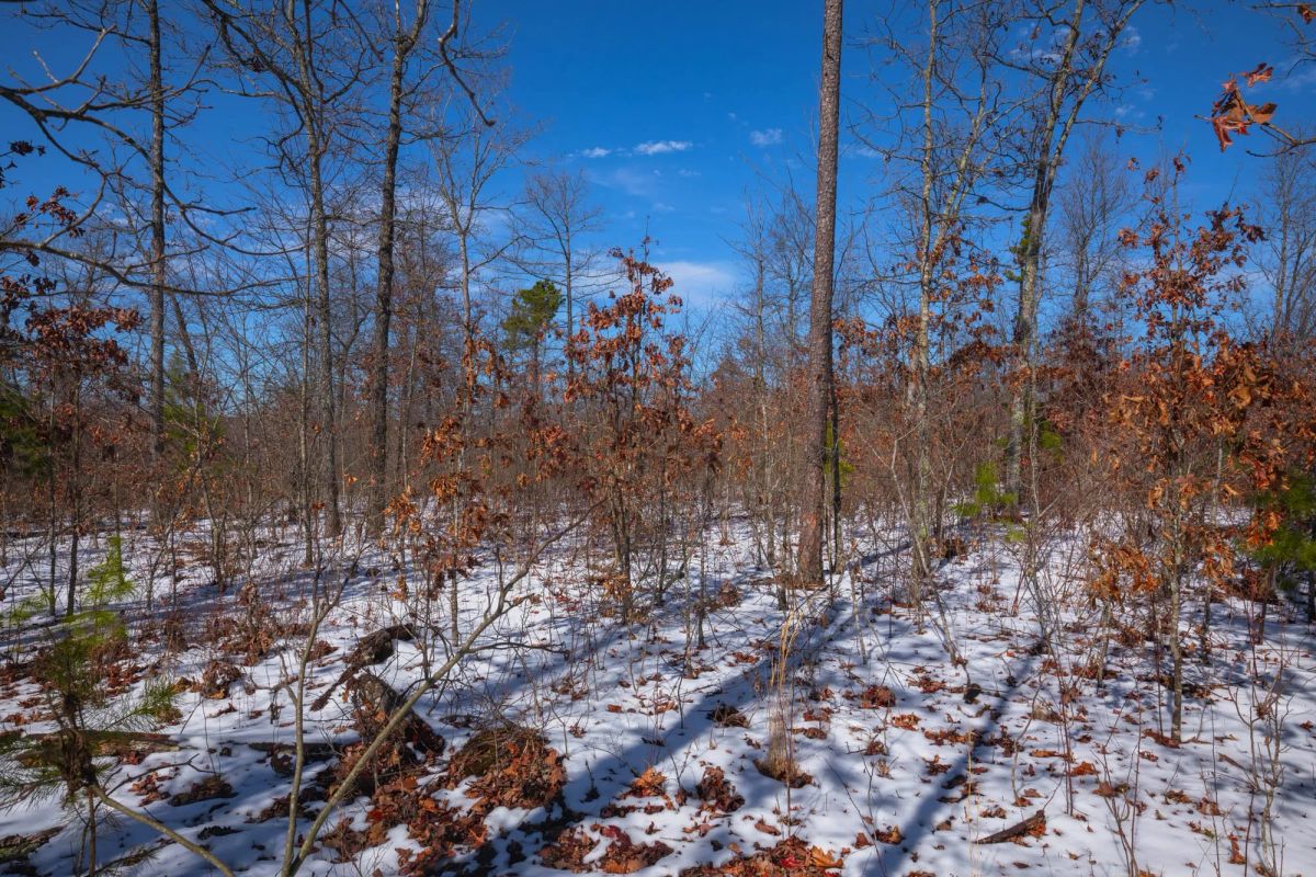 Sleepy Hollow Phase I Tract 38 - Image 4