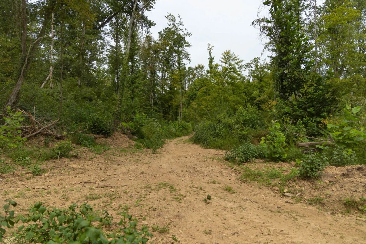 Big White Oak Tract 133 - Main image