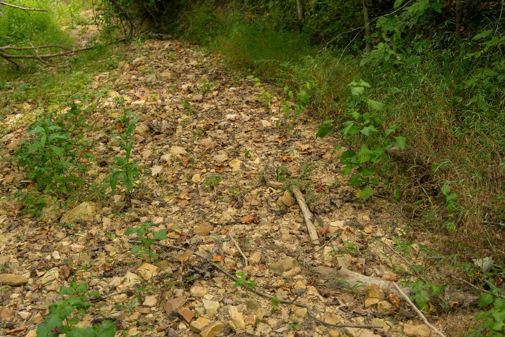 Big White Oak Tract 133 in Perry County, TN