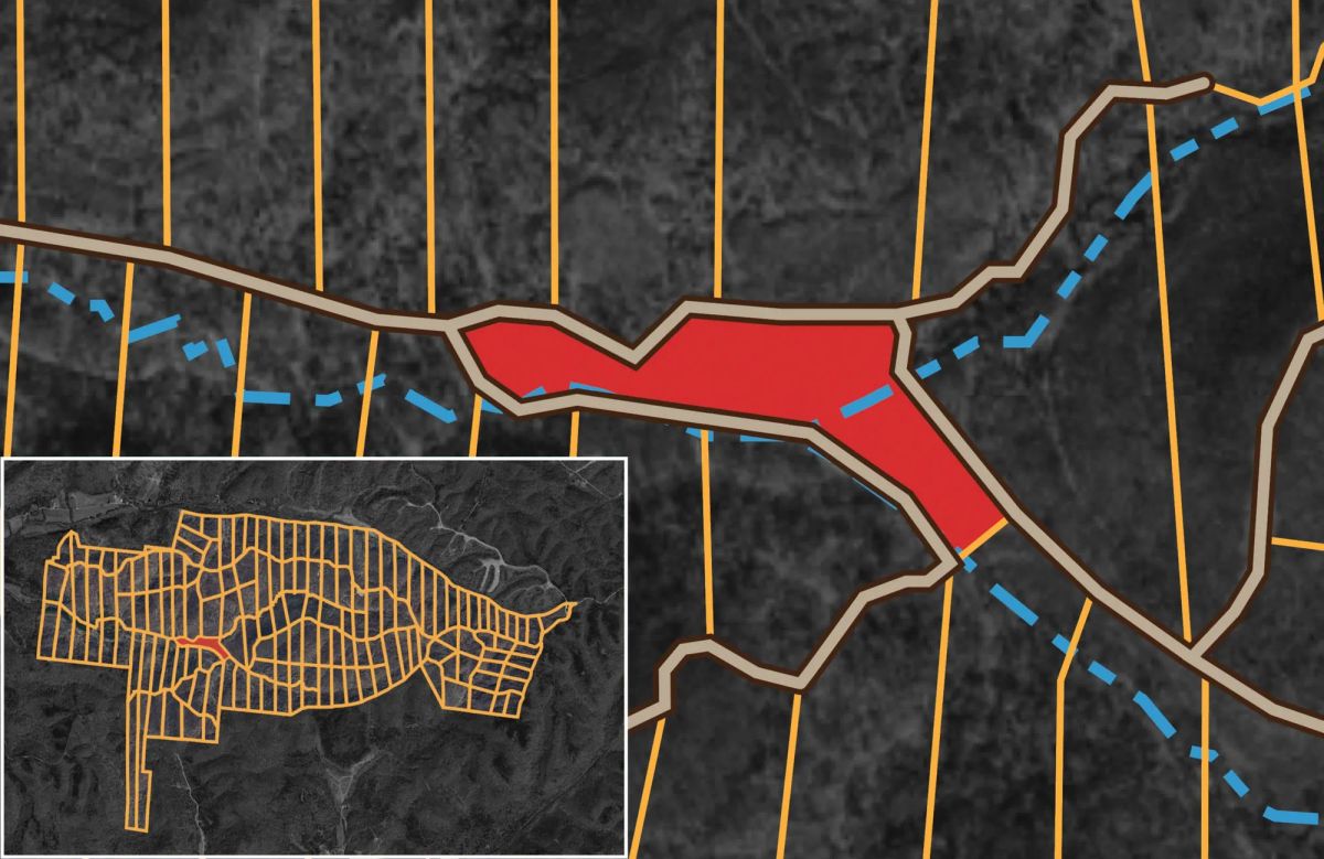 Decorative background for Big White Oak Tract 133 image 21