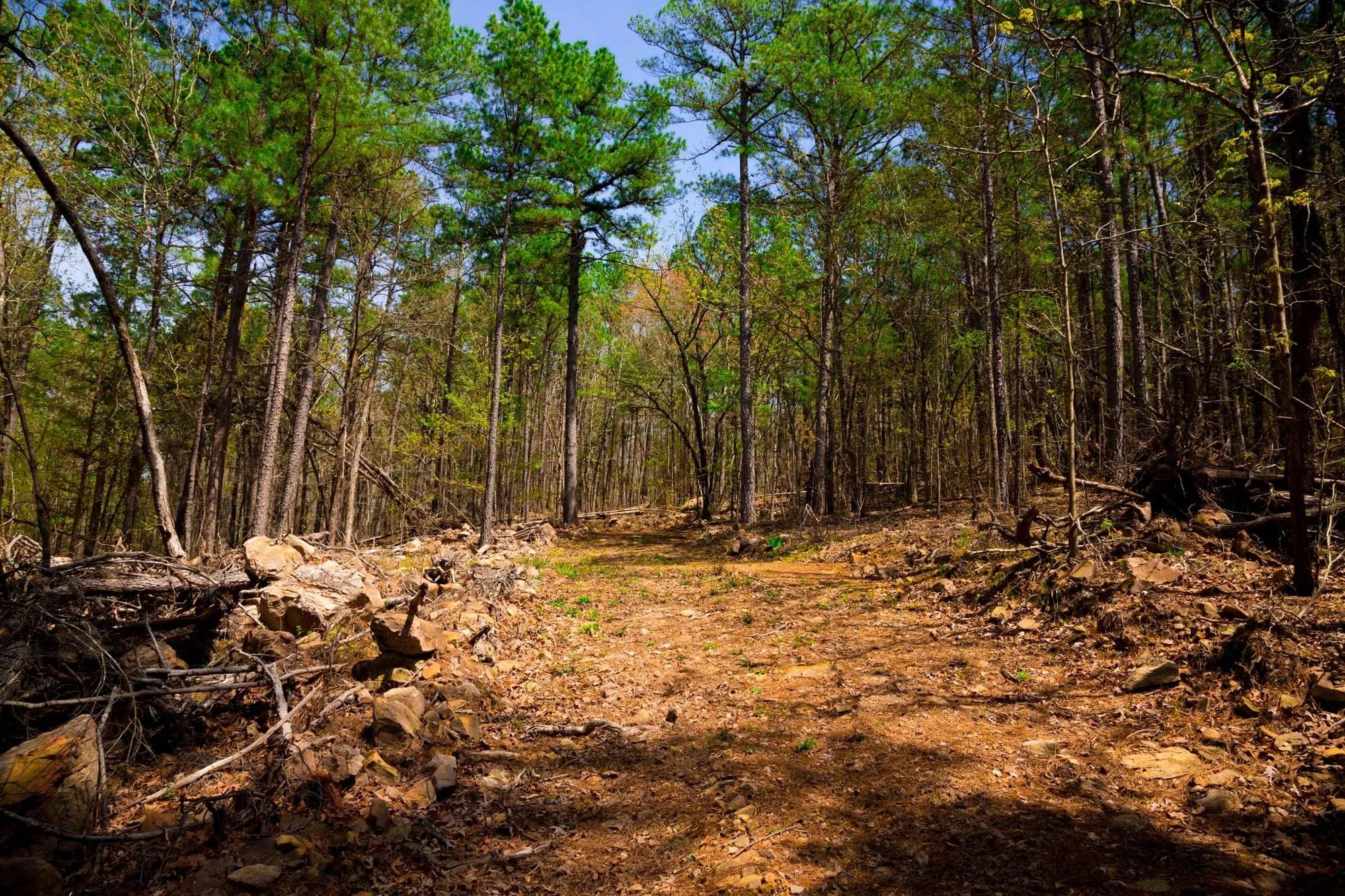 Stone Creek Phase II Tract 190 in Latimer County, OK