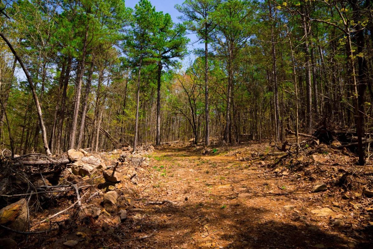 Stone Creek Phase II Tract 190 - Image 2