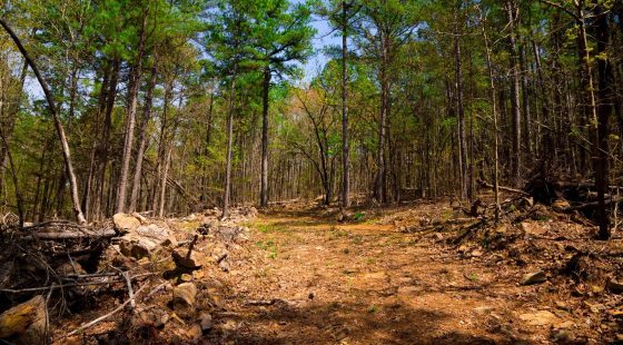 Stone Creek Phase II Tract 190 in Latimer County, OK