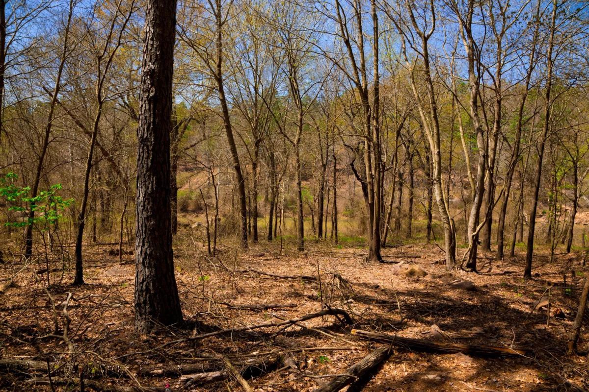 Decorative background for Stone Creek Phase II Tract 190 image 8
